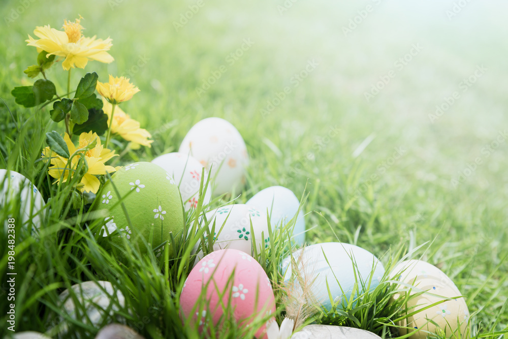 Fototapeta premium Happy easter! Closeup Colorful Easter eggs in nest on green grass field during sunset background.