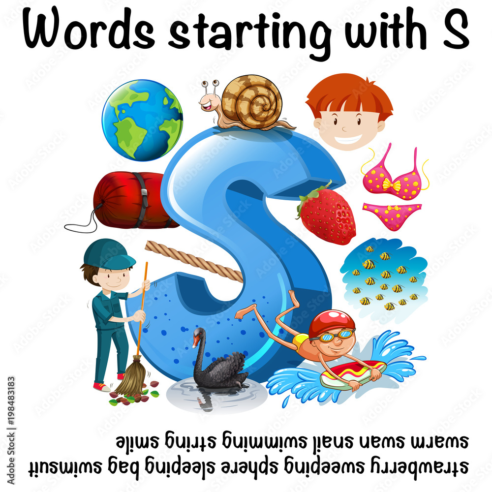 Naklejka premium Many words starting with S