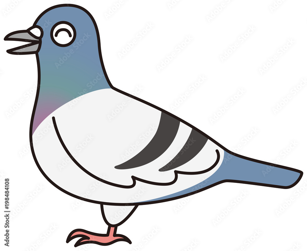 Obraz premium 笑顔のハト