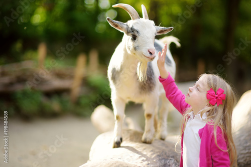 Obraz na plátne Cute little girl petting and feeding a goat at petting zoo