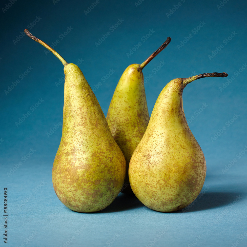 Three yellow pears on a dark blue paper background. Three yellow pears on a dark blue paper background.