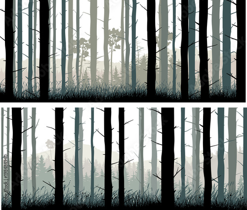 Horizontal wide banners pine trunks and gras of coniferous wood.