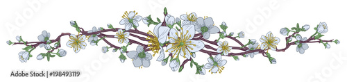 Peach Cherry Blossom Flowers Background Design