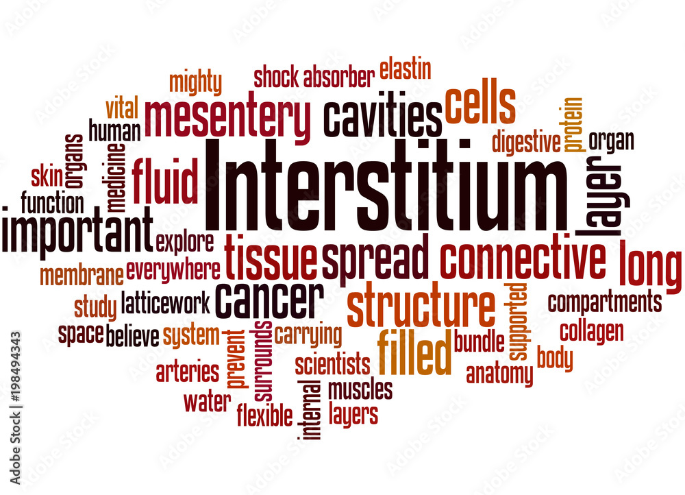 Interstitium (new organ discovered in human body) word cloud