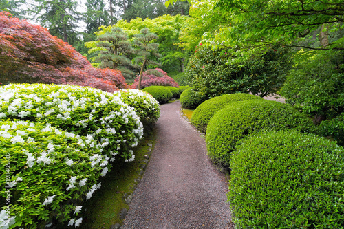 Stroling Garden Path in manicured Japanese Garden photo
