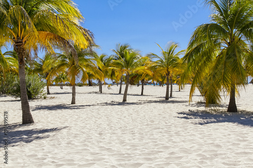 Photography Playa Paraiso, tropical beach in Cayo Largo island, Cuba.