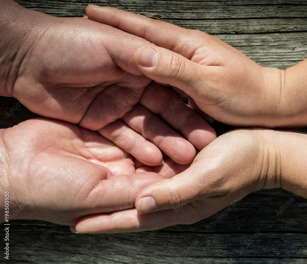 young woman holding the hand of an senior lady young woman holding the hand of an senior lady