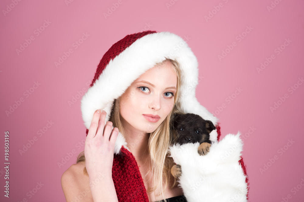 New Year and Merry Christmas concept. Beautiful blonde woman in Santa Claus hat hugging little puppy. Holiday, happiness, love. Christmas mood. Cute smiling woman with pet isolated on pink background. New Year and Merry Christmas concept. Beautiful blonde woman in Santa Claus hat hugging little puppy. Holiday, happiness, love. Christmas mood. Cute smiling woman with pet isolated on pink background.