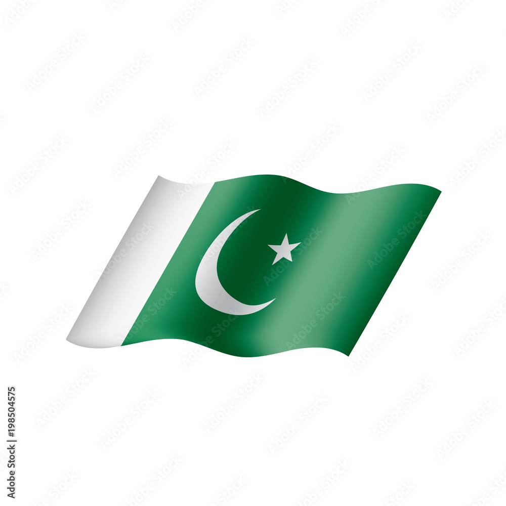 Pakistan flag, vector illustration Pakistan flag, vector illustration