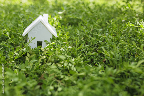 Model of house on green grass