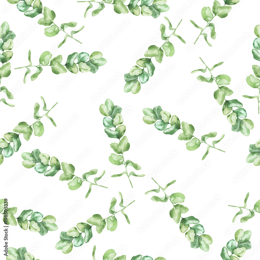 Seamless pattern with green fresh eucalyptus branches on white background. Hand drawn watercolor illustration.