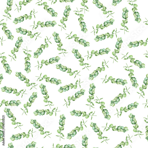 Seamless pattern with green eucalyptus branches on white background. Hand drawn watercolor illustration.