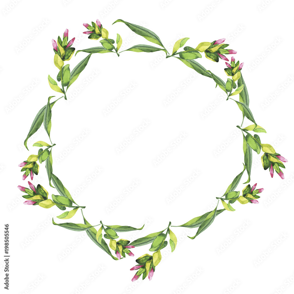 Summer green plants and flowers garland isolated on white background. Hand drawn watercolor illustration.
