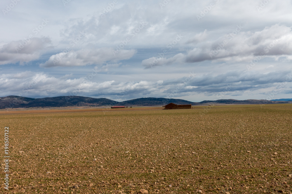 Desert field in the province of Zaragoza