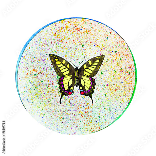 butterfly watercolor a circle