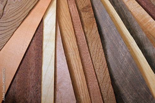 Sheets of Different Woods