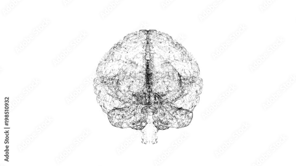 Digital artificial intelligence of the brain from polygons on white background Digital artificial intelligence of the brain from polygons on white background