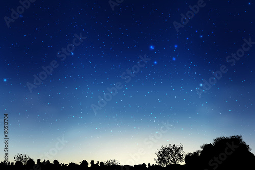 Blue dark night sky with many stars above field of trees. Milky way cosmos background. Space landscape.