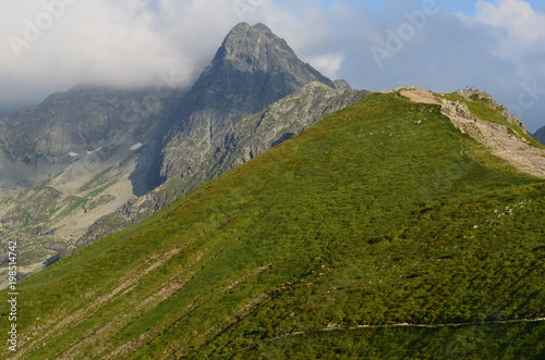 Fototapeta Naklejka Na Ścianę i Meble -  Tatry, Świnica widziana z Kasprowego, kozice na zboczu