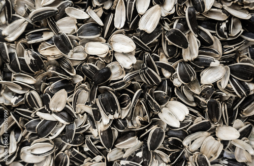 Photography Sunflower seed husks background texture. waste of seeds