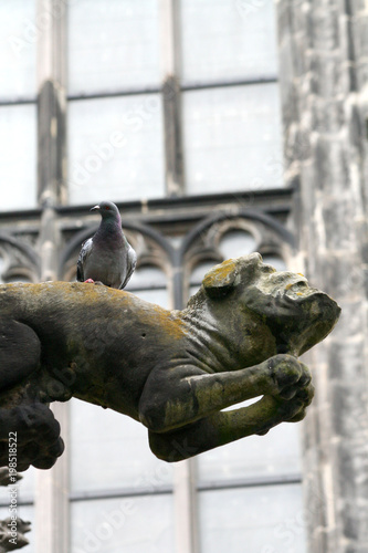 Gargoyle of the St. Martin's Cathedral, Utrecht, or Dom Church