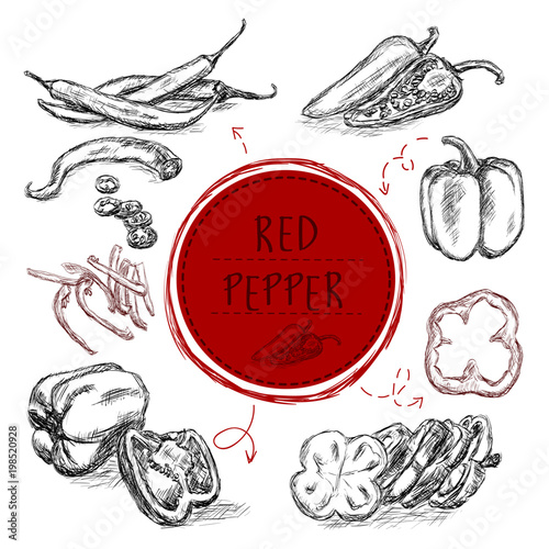 sketch graphics red pepper