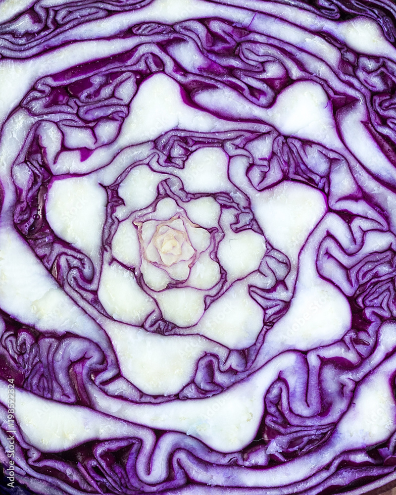 Obraz premium The Purple cabbages stacked at a farmers' market