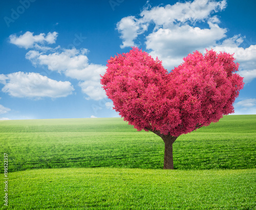 summer green field and pink tree in shape of heart
