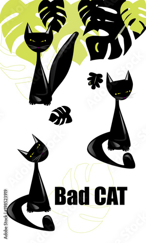 Gatos negros, gato malo. 