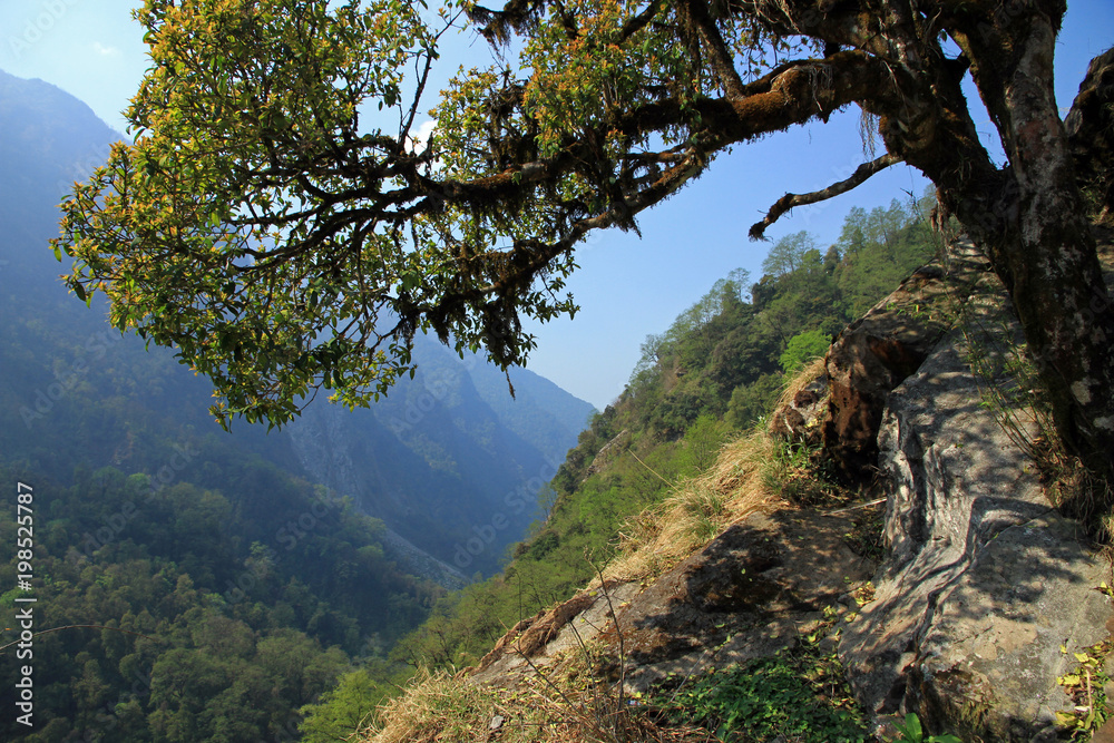 Annapurna Conservation Area, Himalayas, Nepal Annapurna Conservation Area, Himalayas, Nepal