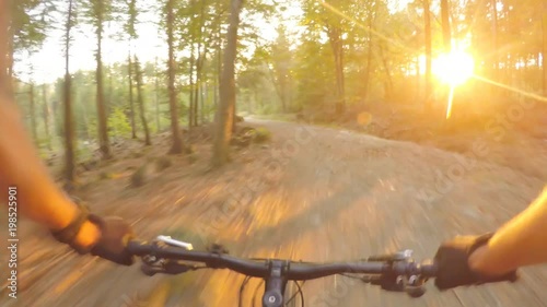 Sunset mountain bike riding in green woods on double track long road. Forest extreme speed cycling, first person perspective view POV. Gimbal stabilized video GOPRO HERO4 4K. photo