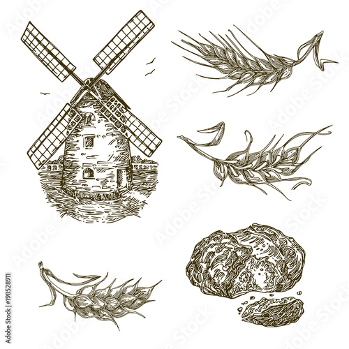 Vintage set. Windmill, grain and bread. Engraving style. Vector illustration.