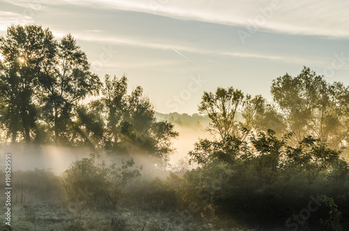 Novi Sad, Serbia - October 22, 2015: Morning mist in October 