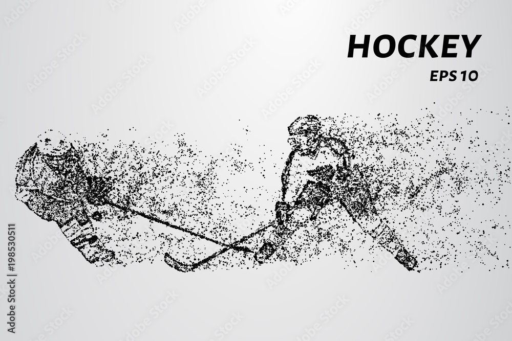Fototapeta premium Hockey from the particles. Hockey consists of circles and points. Vector illustration.