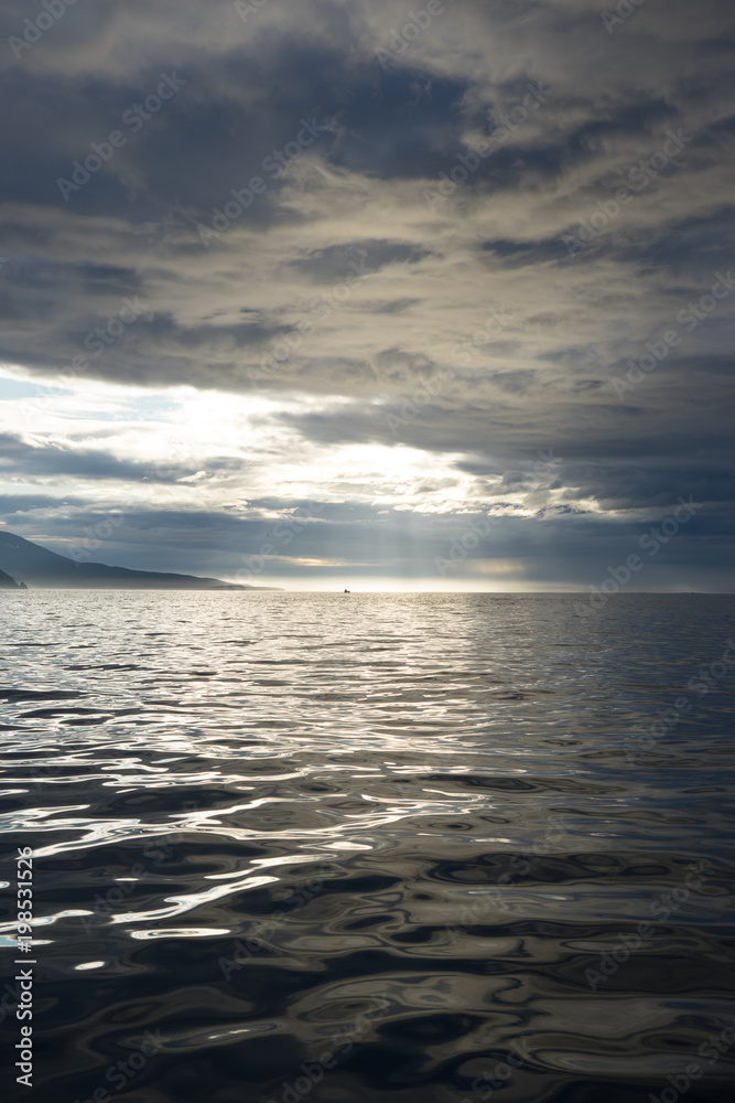 Fototapeta premium Landschaft in der Skjálfandibucht bei Húsavík / Nord-Island