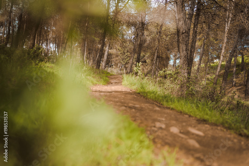 path