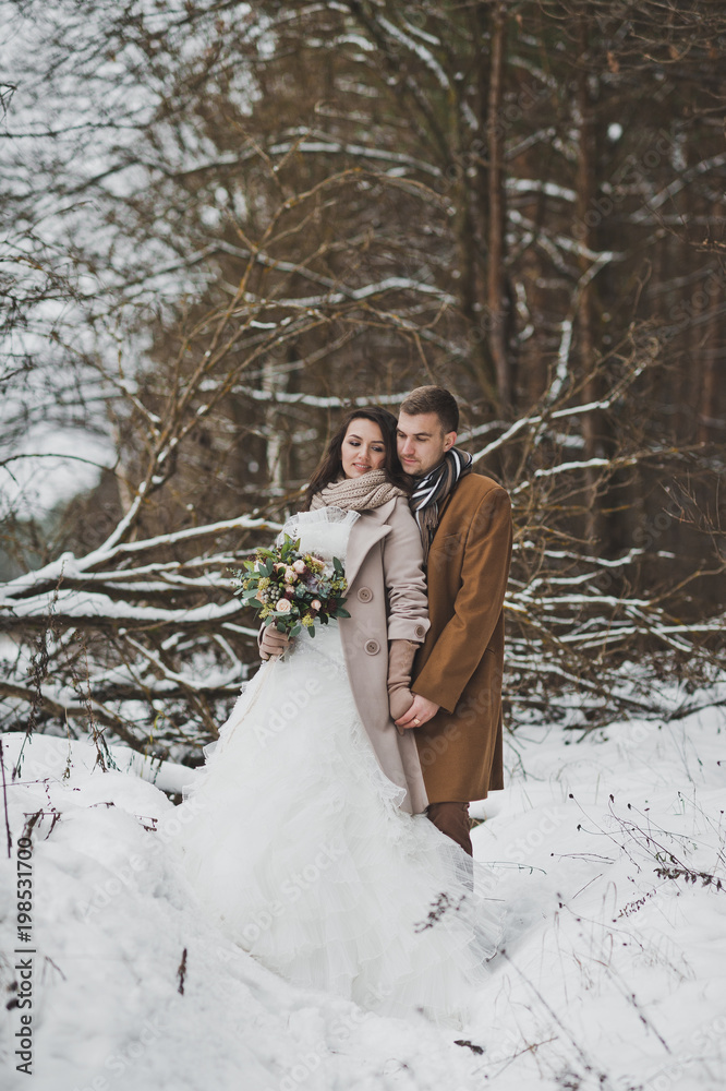 Portrait of the bride and groom around fallen trees overgrown with pine Portrait of the bride and groom around fallen trees overgrown with pine