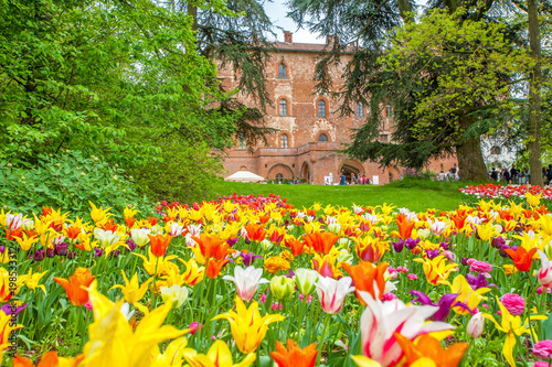 25 April 2013. Castle of Pralormo, garden tulips in Turin, Piedmont, Italy photo