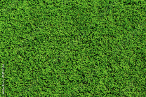 Bright green grass background, lawn for football