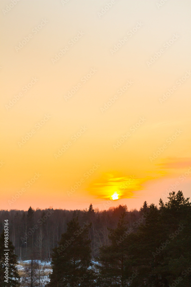 Obraz premium Bright beautiful sunset over the winter forest in early spring