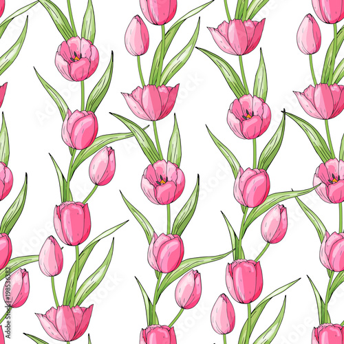 Tulip flower seamless pattern. Colorful spring floral background for season design