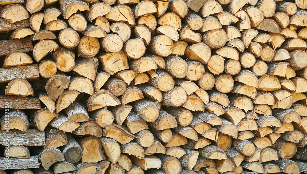 Preparation of firewood for the winter. Preparation of firewood for the winter.