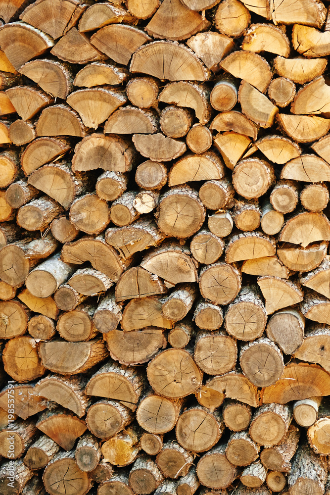 Preparation of firewood for the winter. Preparation of firewood for the winter.