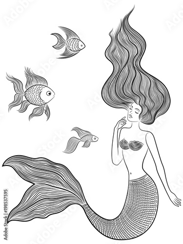 Wonder Mermaid with three fishes
