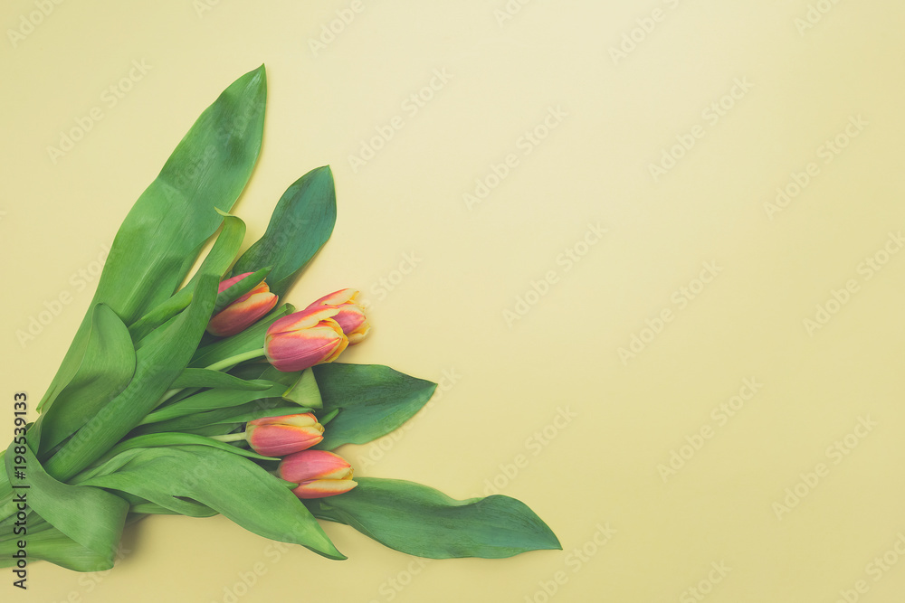 Top view of first spring bouquet of orange tulips on beige background with copy space. Beautiful spring background for International Womens day, Mother's day, March 8, Valentines day