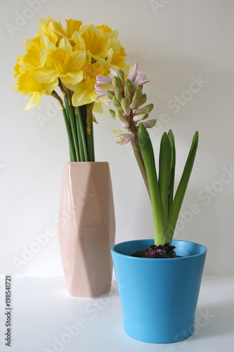 Fototapeta Naklejka Na Ścianę i Meble -  daffodils and hyacinth against white wall