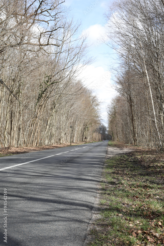 Fototapeta premium route