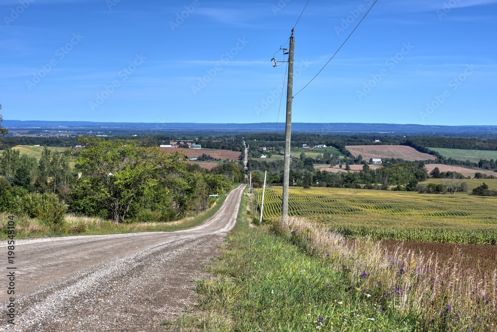 rural road