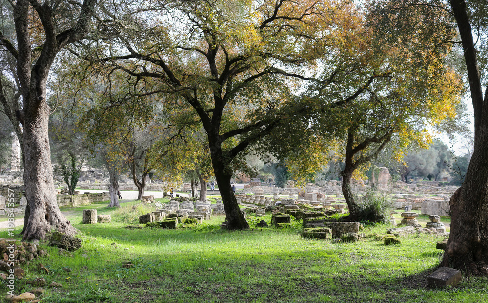 Old gnarled trees frame the ruins of ancient Olympia with pillars and blocks arranged in moss covered rows with paths for tourists to roam