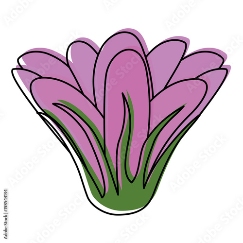 moved color cute flowers with nature petals design